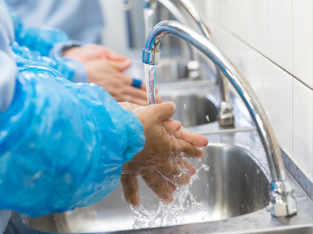 Fullres Den Dulk 0068