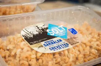 Dulk Haasnoot Garnalen Winkel 82