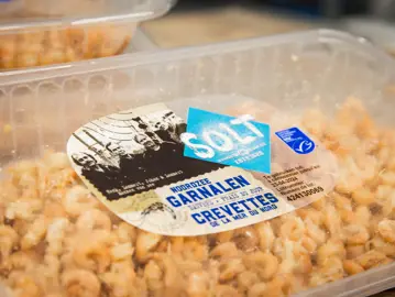 Dulk Haasnoot Garnalen Winkel 82