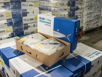 Dulk Haasnoot Bevroren Vis Magazijn 38