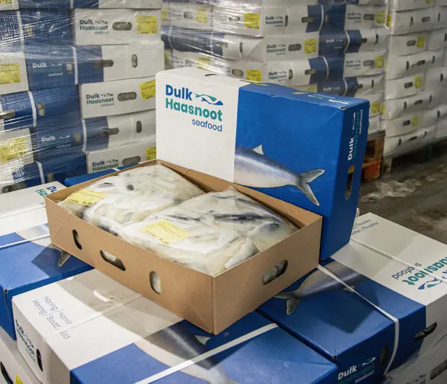 Dulk Haasnoot Bevroren Vis Magazijn 38