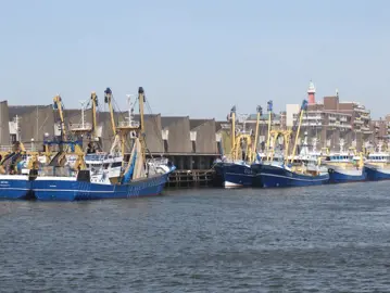 P1 Kotters In Scheveningen