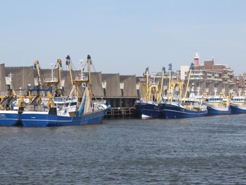 P1 Kotters In Scheveningen