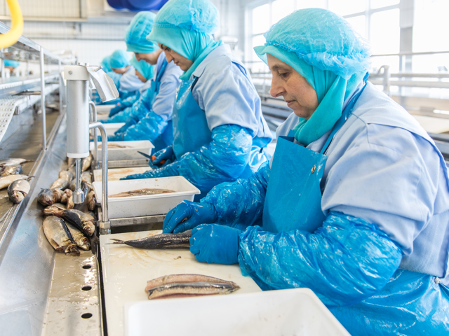 Fullres Den Dulk 0012